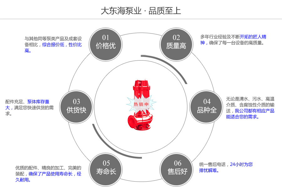 大東海泵業(yè)WQR型耐高溫污水泵質量保證圖